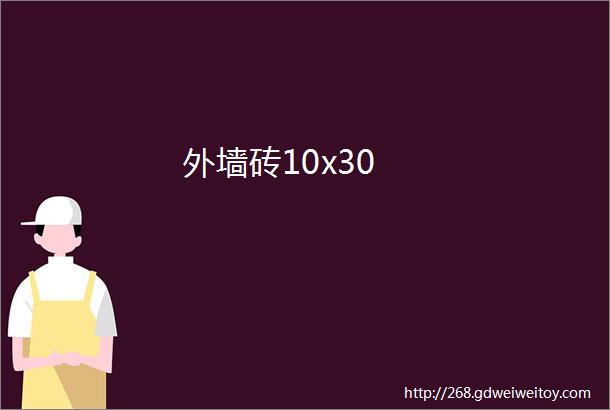 外墙砖10x30