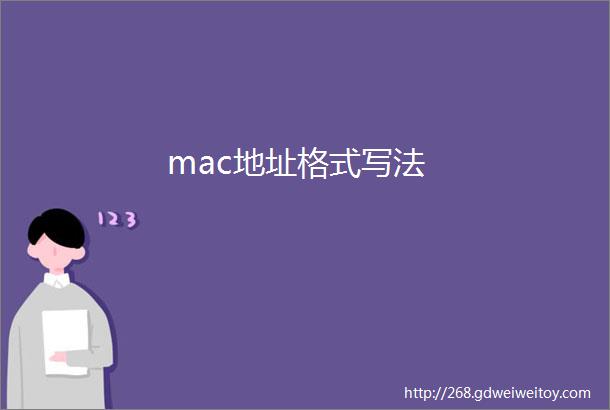 mac地址格式写法